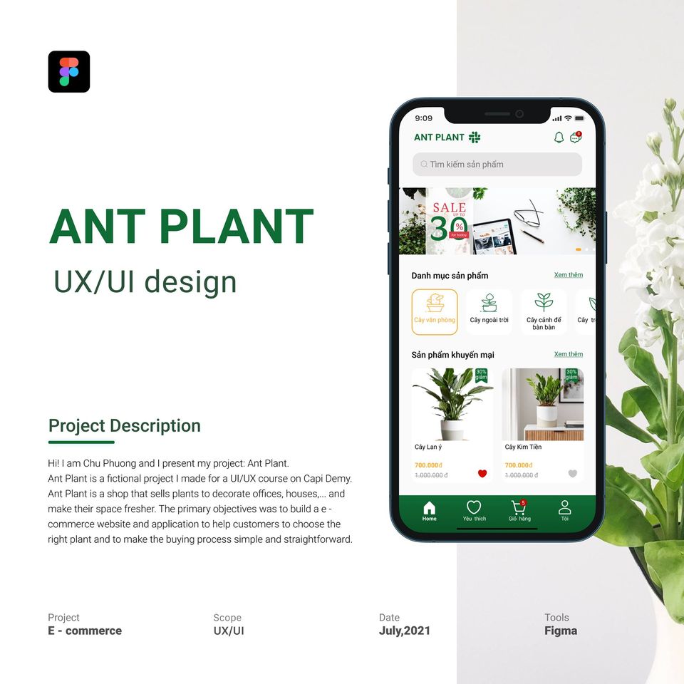 showcase ui design ant plant
