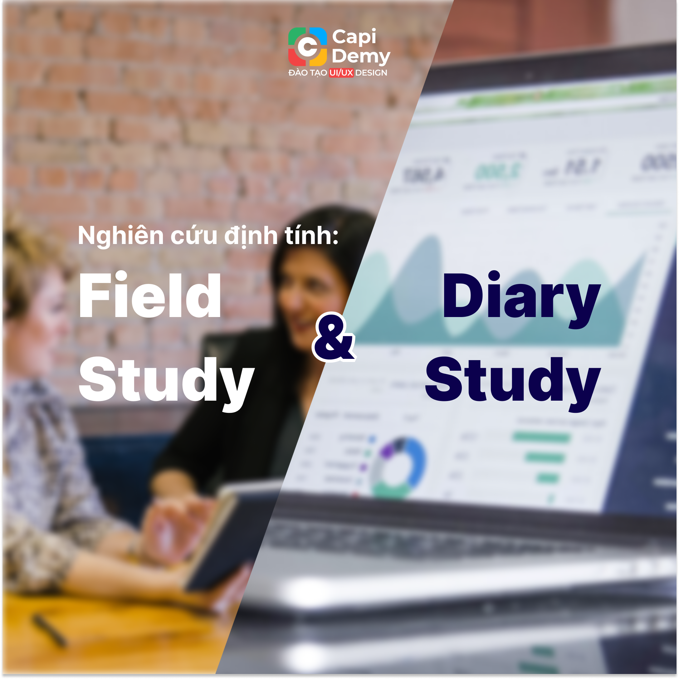 field-study-and-diary-study-nghien-cuu-dinh-tinh