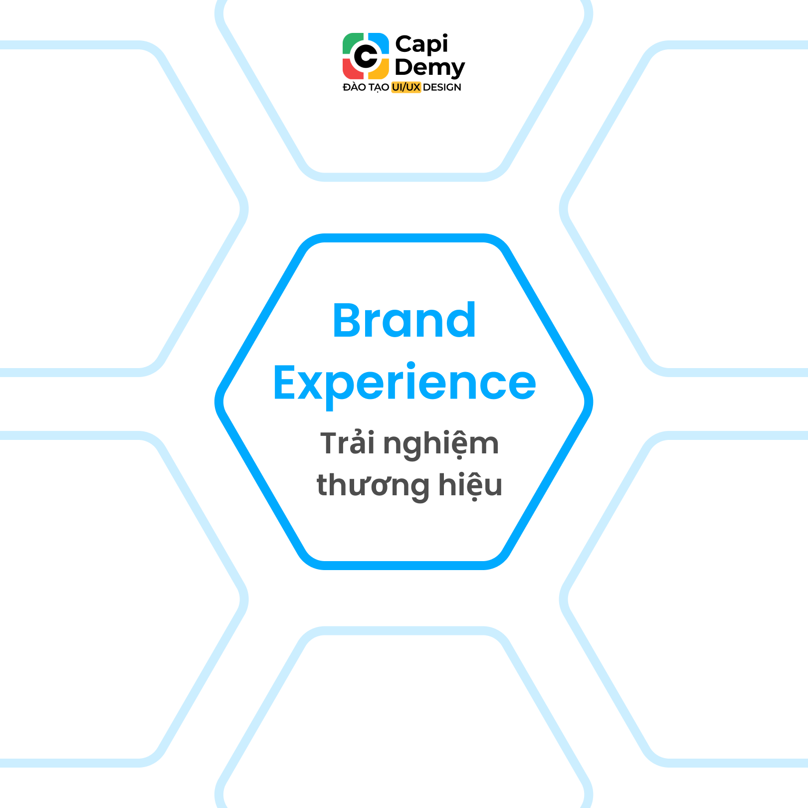 brand experience trải nghiệm thương hiệu